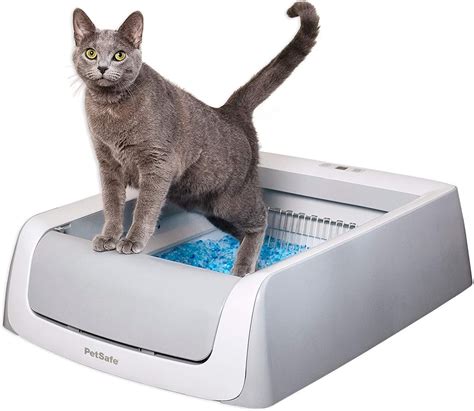 electric litter box for large cats|do automatic litter boxes smell.